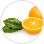 Vitamina C